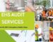 EHS audit services
