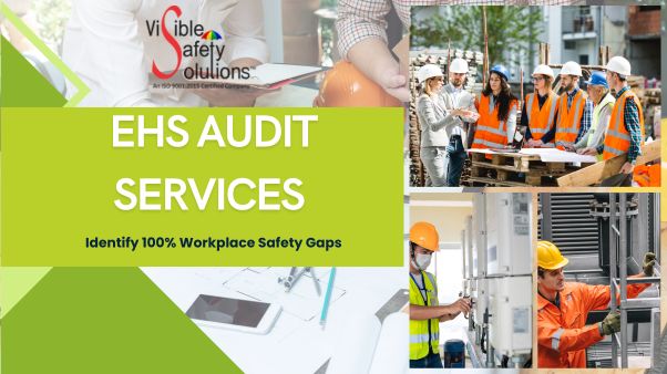 EHS audit services